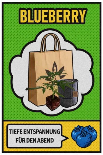 Blueberry Set